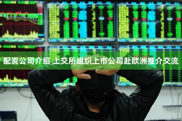 配资公司介绍 上交所组织上市公司赴欧洲推介交流
